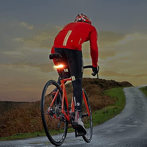 TANMORT Bike Tail Lights USB Rechargeable, Ultra Bright 120 Lumens Powerful 10 LEDs Rear Bicycle Light, IP64 Waterproof Dustproof, 7 Light Mode Options, Cycling Safety Warning Flashlight 2 Pack - 6