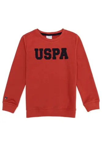 Tarçın Erkek Çocuk Sweatshirt-Tarçın - 1