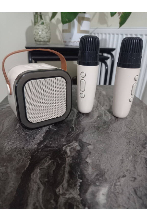 Taşınabilir Bluetooth'lu karaoke hoparlör - 1