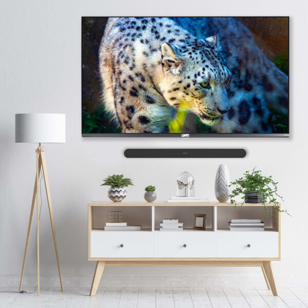 TCL Alto 6 Dolby Audio 2 Kanal Ovoz paneli Roku TV bilan mosliģ - TS6 - 3