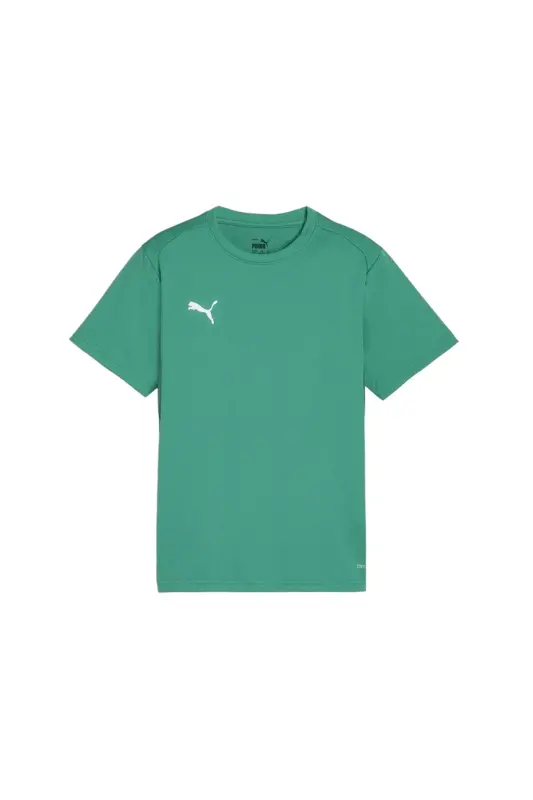 Teamgoal Jersey Erkek Futbol Antrenman Tişörtü 65863605 Yeşil-Yesil - 2