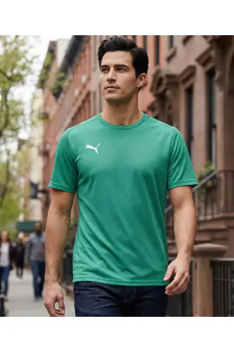 Teamgoal Jersey Мужская Футбольная Тренировочная Футболка 65863605 Зеленый-Зеленый 