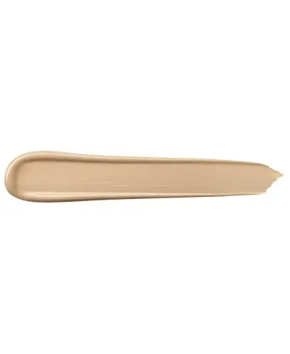 Teint Idole Ultra Wear All Over Full Coverage Concealer-250 Bisque W - 6