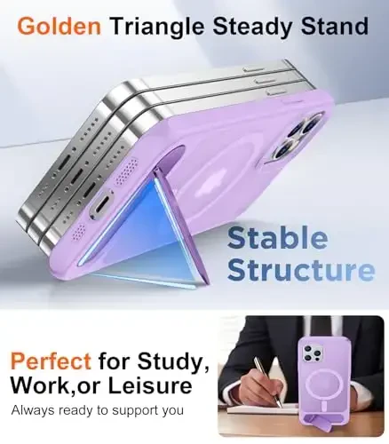 Temdan Magnetic Compatible with iPhone 12 Case & iPhone 12 Pro Case, [Built-in Invisible Kickstand][Compatible with MagSafe][Military Grade Shockproof] Slim Translucent Matte Phone Case 6.1