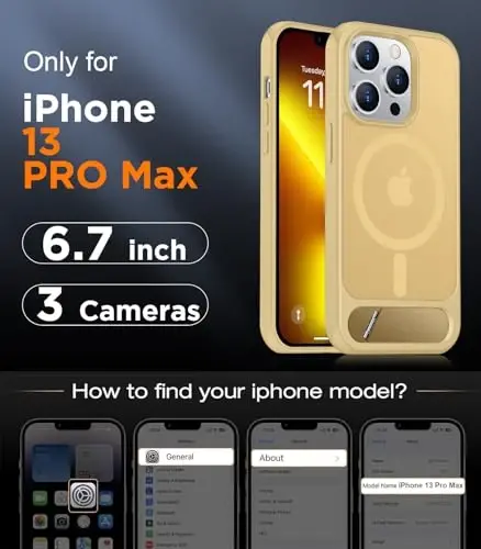 Temdan Magnetic Compatible with iPhone 13 Pro Max Case, [Built-in Invisible Kickstand][Compatible with MagSafe][Military Grade Shockproof] Slim Translucent Matte Phone Case for iPhone 13 Pro Max 6.7