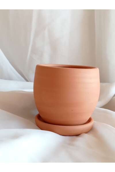 Terracotta Pot, Cactus Pot - COMLEKEVI