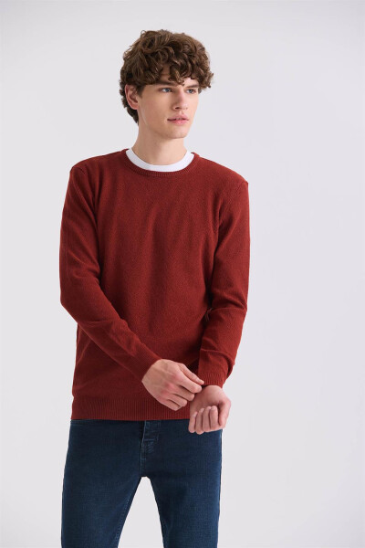 Terracotta Slim Fit Crew Neck Patterned Knit Sweater - 1