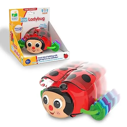 The Learning Journey Early Learning – Crawl About Ladybug Musical Crawling Aid – Baby Toys & Gifts for Boys & Girls Ages 6+ Months - 1