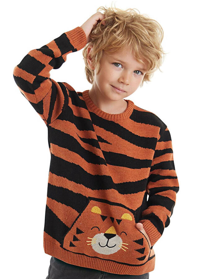 Tiger Boy Brown Sweater - 9