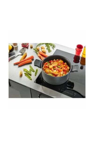 Titan Fusion Chuqur Qopqoqli Tovoq 24 Sm - TEFAL