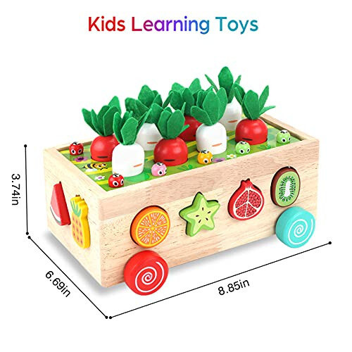 Toddlers Montessori Wooden Educational Toys for Baby Boys Girls Age 1 2 3 Year Old, Shape Sorting Toys 1st One First Birthday Girl Gifts for Kids 1-3, Wood Preschool Learning Fine Motor Skills Game - 2