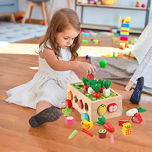 Toddlers Montessori Wooden Educational Toys for Baby Boys Girls Age 1 2 3 Year Old, Shape Sorting Toys 1st One First Birthday Girl Gifts for Kids 1-3, Wood Preschool Learning Fine Motor Skills Game - 5