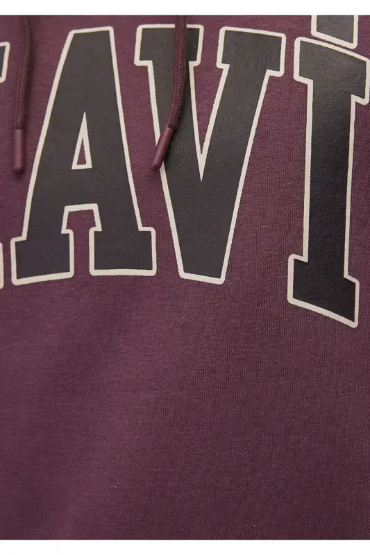 Толстовка с капюшоном коричневого цвета с логотипом 067149-70260-коричневый - 7