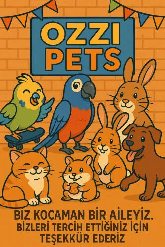 To'ti qush uchun tabiiy yog'ochli qo'ng'iroq boncuk bilan chayqalish + kutilmagan sovg'a - 4