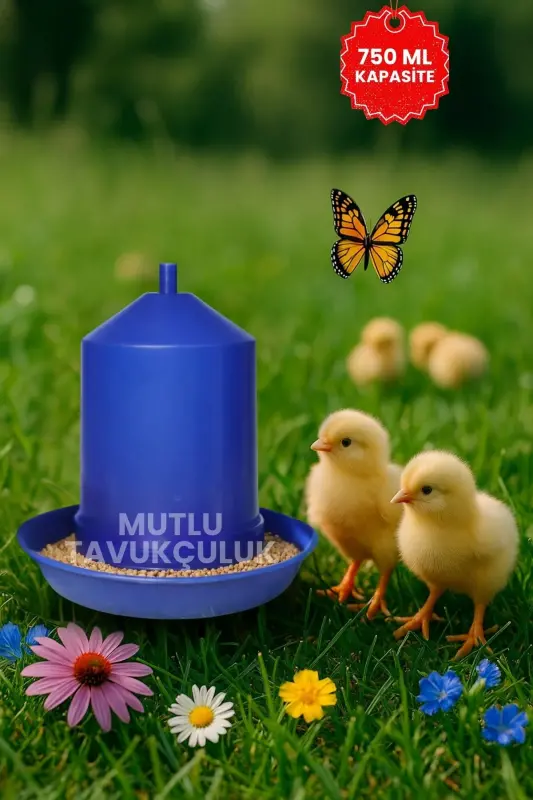 Tovuq boshlang'ich suv va ozuqa idish to'plami 750 ml - 6