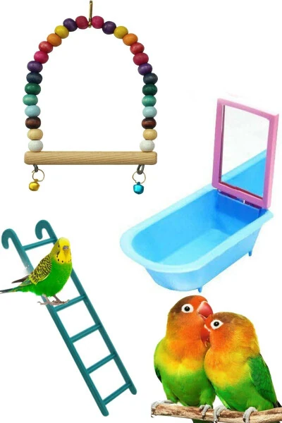 Toy set for budgies and parakeets - WODDY
