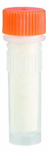 Toysmith Beetle & Bee Bird Call - FSC Certified, Outdoor Play - 3