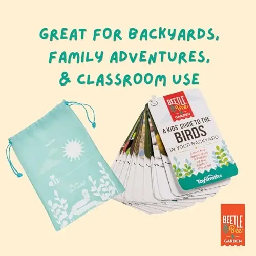 Beetle & Bee, Little Birder Set, Kids Backyard Bird Watching Set, FSC Certified, for Boys & Girls Age 5+ - 4