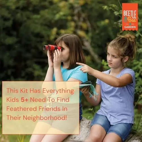 Beetle & Bee, Little Birder Set, Kids Backyard Bird Watching Set, FSC Certified, for Boys & Girls Age 5+ - 6