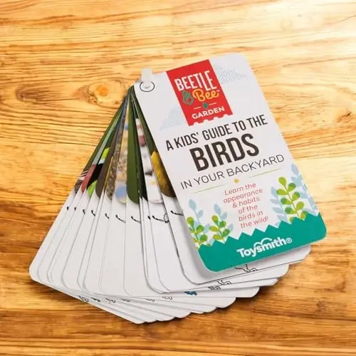 Toysmith Beetle & Bee, Little Birder Set, Kids Backyard Bird Watching Set, FSC Certified, for Boys & Girls Age 5+ - BEETLE (1)
