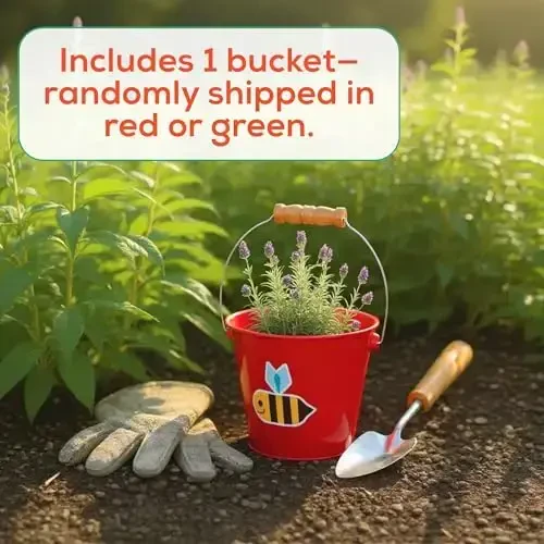 Toysmith Kids Gardening & Beach Bucket – 5″ Metal Pail with Grippable Handle | Assorted Bee & Beetle Colors | Durable Steel for Outdoor Play - 1 Count - 2