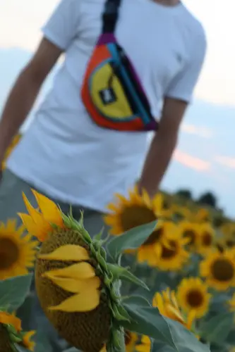 Trend Unisex Retro Renkli iki Bölmeli Bel Ve Omuz Çantası Su Geçirmez Spor ve Günlük-Çok Renkli - 5