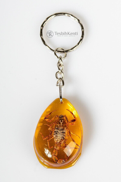 Triangle Design Scorpion Fossil Keychain - 10