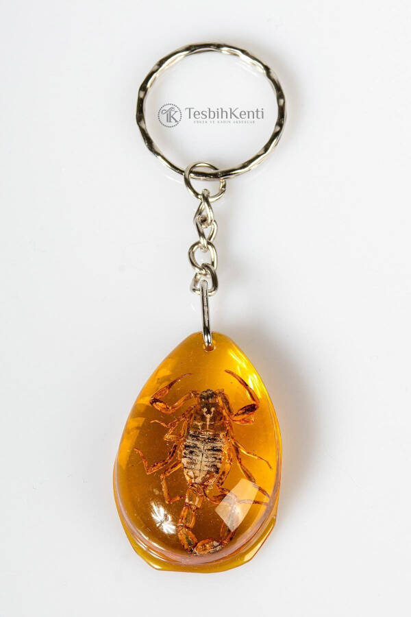 Triangle Design Scorpion Fossil Keychain - 10