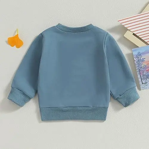 Tsseiatte Toddler Baby Boy Girl Long Sleeve Crewneck Pullover Sweatshirt Sweater Outfits Solid Color Casual Clothes - 3