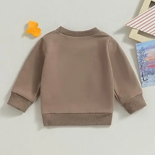 Tsseiatte Toddler Baby Boy Girl Long Sleeve Crewneck Pullover Sweatshirt Sweater Outfits Solid Color Casual Clothes - 3