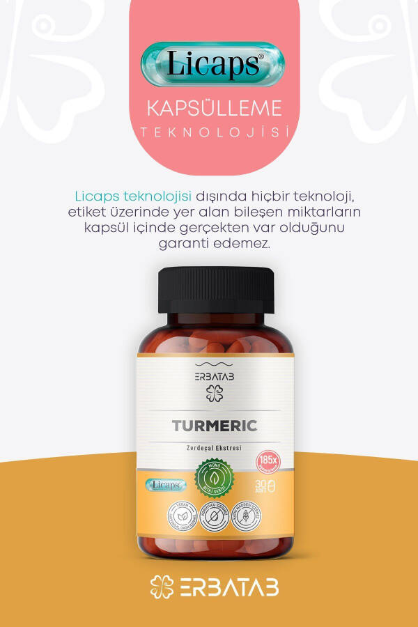 Turmeric Curcumin Extract 30 Capsules Licaps® - 2