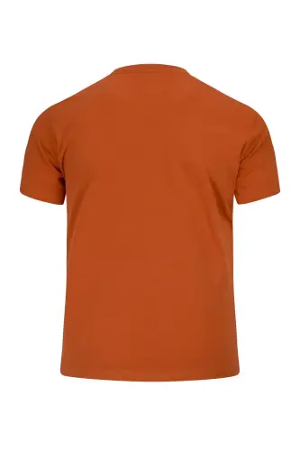 Turuncu Regular Fit Bisiklet Yaka 100 Pamuk Tişört - Turuncu00 - 4