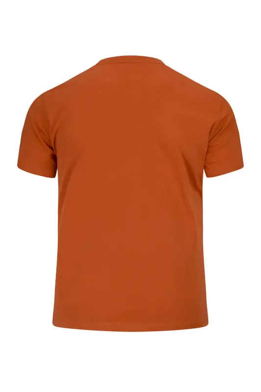 Turuncu Regular Fit Bisiklet Yaka 100 Pamuk Tişört - Turuncu00 - 4
