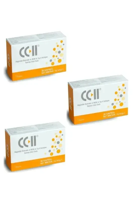 Type 2 Collagen 30 Capsules 3 Pack - 1