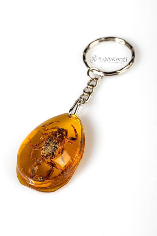 Üçgen Tasarım Akrep Fosilli Anahtarlık - 8