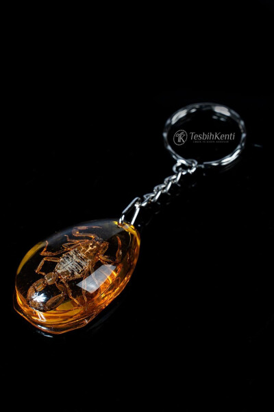 Üçgen Tasarım Akrep Fosilli Anahtarlık - 4