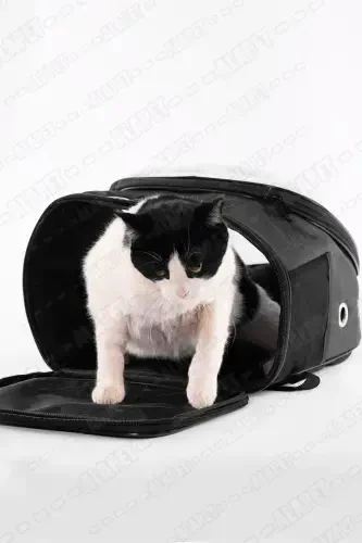 UFO Astronaut Cat Carrier - 7 Air Channel Paw Patterned 47x40x35cm (15kg)-Black - 7