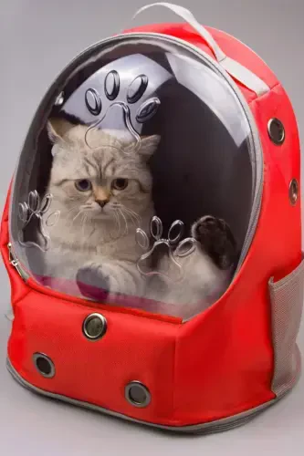 Ufo Astronaut Cat Carrier - 7 Air Channel Paw Patterned 47x40x35cm (15kg)-Red - 1