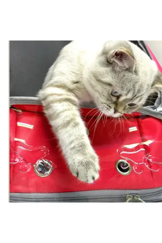 Ufo Astronaut Cat Carrier - 7 Air Channel Paw Patterned 47x40x35cm (15kg)-Red - 4