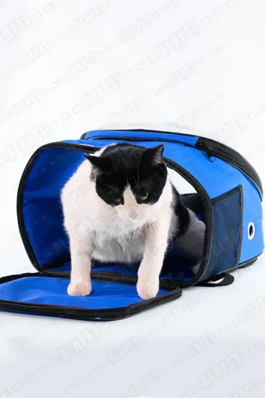 Ufo Astronaut Cat Carrier - 7 Air Channel Paw Patterned 47x40x35cm (15kg)-Turquoise - 7