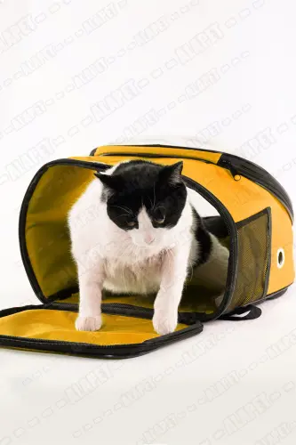 Ufo Astronot Kedi Taşıma Çantası - 7 Hava Kanallı Pati Desenli 47x40x35cm (15kg) - Sarı - 7