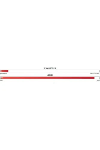 Unisex Badminton Racket - Gr 360 - GR360 - GENEL MARKALAR (1)