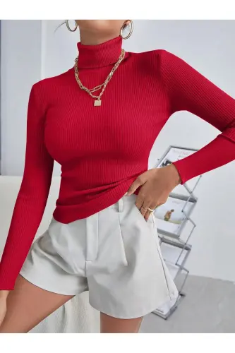 Unisex Blood Red Cotton Turtleneck Slim Fit Fleece Lined Sweater-Blood Red - 3