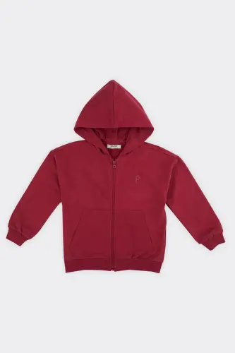 Unisex Kids Zippered Burgundy Sweatshirt-035 