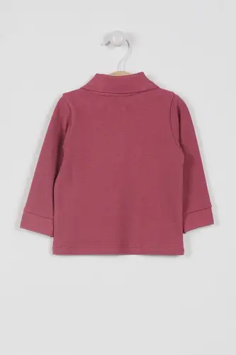 U.s. Polo Assn Lisanslı Classic Gül Kurusu Bebek Uzun Kol Yakalı Sweatshirt-Gül Kurusu - U.S. POLO ASSN. (1)
