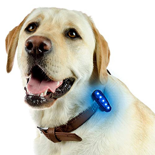 USB Şarjlı LED Güvenlik Işıkları (2'li Paket) - Koşucular, Koşucular, Yürüyenler, Çocuklar, Köpekler, Bisiklet Arka Işıkları için Klipsli Stroboskop Işıklar - Yansıtıcı Ekipmanlar İçin Yüksek Görünürlük Aksesuarları - 6