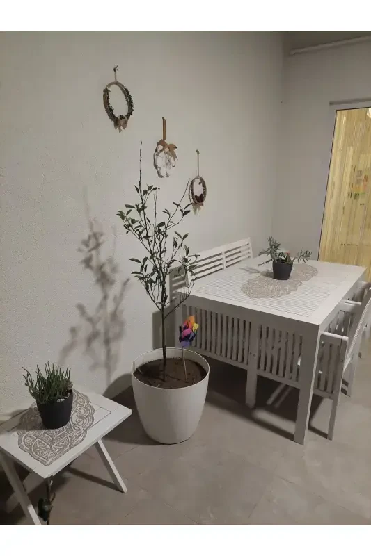 Usmonli 5 Bo'lak Hashamatli Yuguruvchi Salon Xona Stol Divan Qoplami Frantsuz Dantelli Sep Komplekti-Sutli Jigarrang - 6