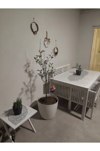 Usmonli 5 Parça Lyuks Runner Salon Xona Stol Divan Qoplami To'plami Frantsuz Gipyurlu Sep-Grey - 3