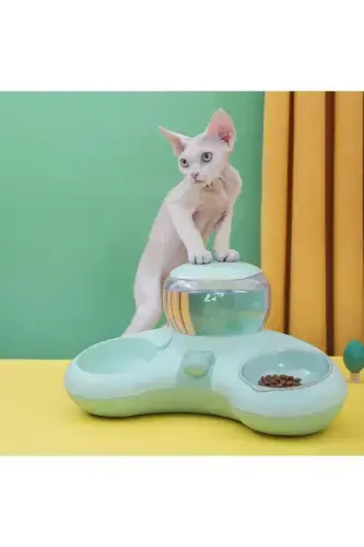 Uy hayvonlari uchun mushuk va it ovqati va suv idishi 1,4 l katta suv sig'imi - Yashil - 1