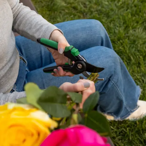 Expert Gardener, 1-Inch Cutting Bypass Pruner - 17